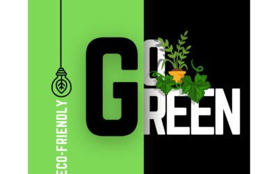 The Impact of Content Delivery Networks (CDNs) in Marketing and Environmental Responsibility