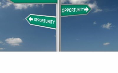 The intersection of B-BBEE and Employment Equity in South African Businesses