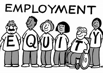 Addressing the Lack of Skills in the Employment Equity Space in South Africa