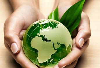 Environmental Specialists in South Africa and Their Choice to Work Offshore